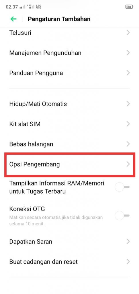 opsi pengembang aktiv