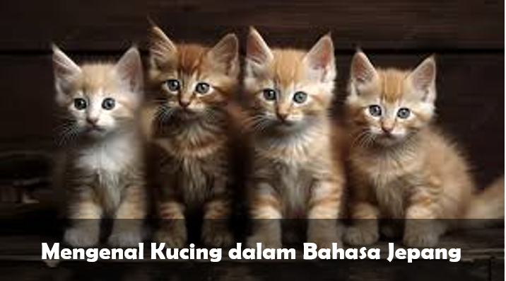 Kucing dalam Bahasa Jepang