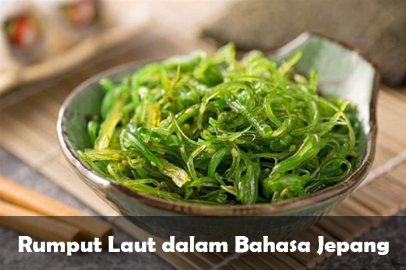 Rumput Laut dalam Bahasa Jepang
