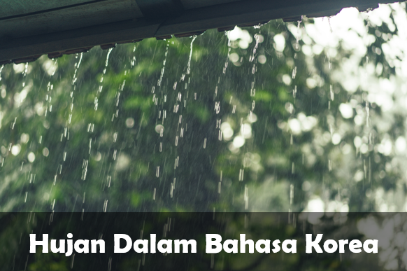 Bahasa Korea Hujan