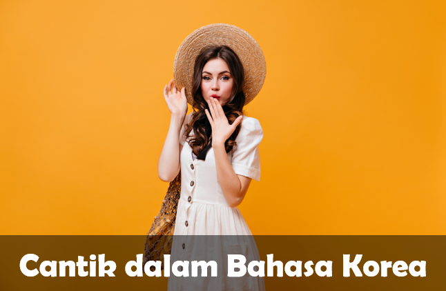 Bahasa Korea Cantik