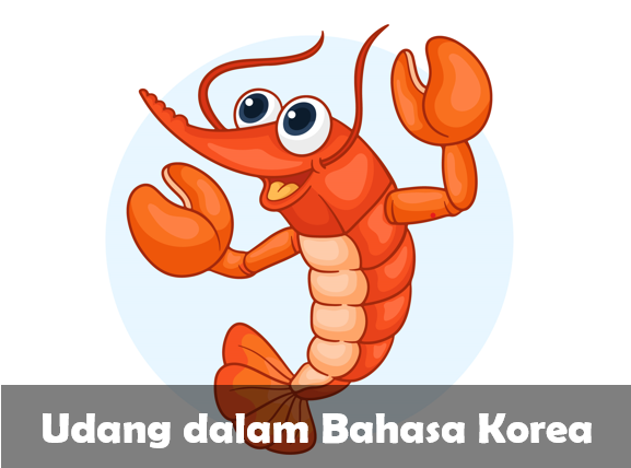 Bahasa Korea udang