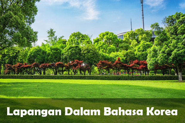 Lapangan dalam Bahasa Korea