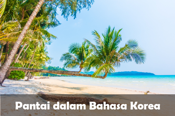 Bahasa Korea Pantai