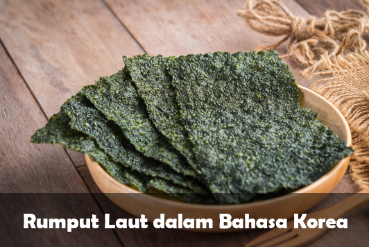 Rumput laut dalam bahasa korea
