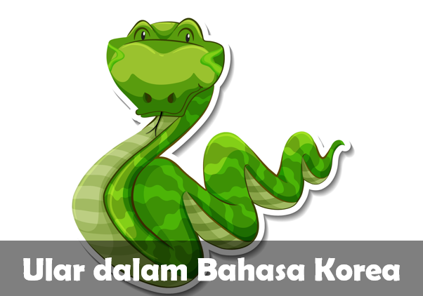 Ular dalam Bahasa Korea