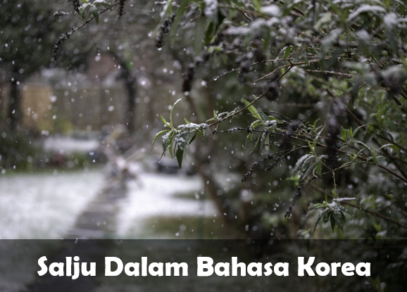 Salju Dalam Bahasa Korea