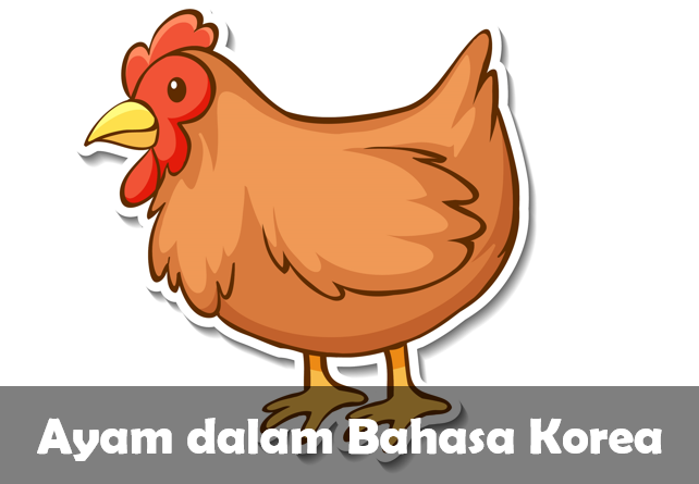Ayam dalam bahasa Korea