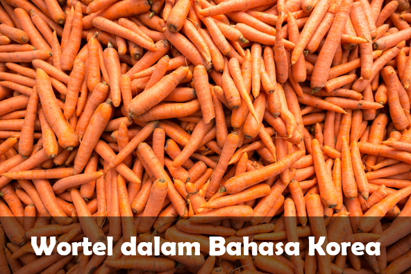 Wortel dalam Bahasa Korea