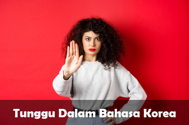 Tunggu Sebentar dalam Bahasa Korea