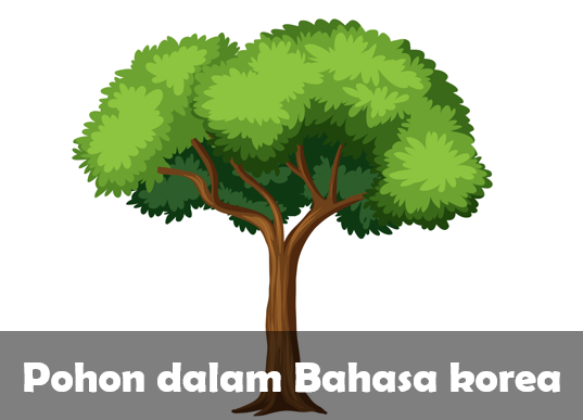 Pohon dalam Bahasa Korea