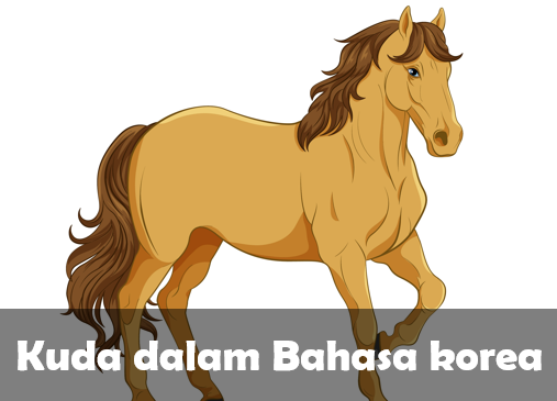 Kuda dalam bahasa Korea