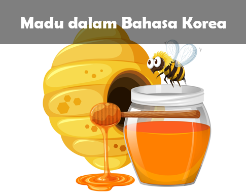 Madu dalam Bahasa Korea