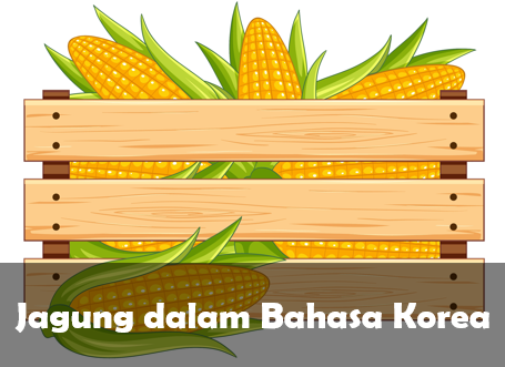 Jagung dalam Bahasa korea