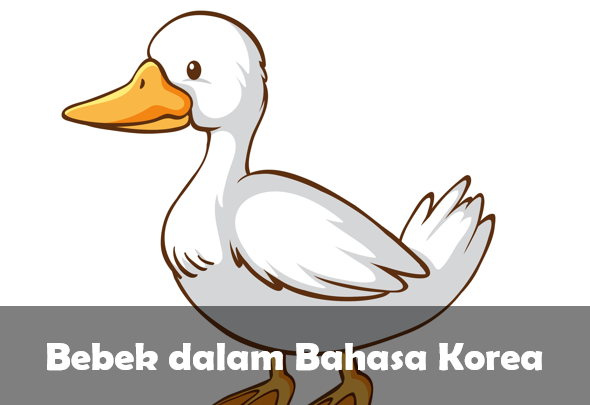 Bebek dalam Bahasa Korea