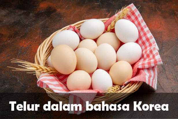 Telur dalam bahasa Korea