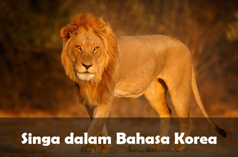 Singa dalam bahasa Korea