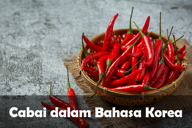 Bahasa korea Cabai