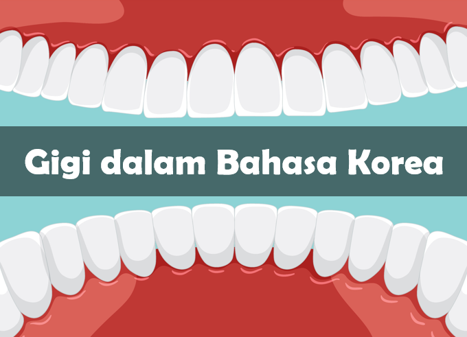 Gigi dalam bahasa Korea