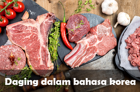 bahasa Korea daging