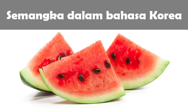 Bahasa Korea Semangka