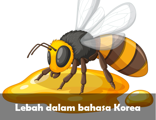 Lebah dalam bahasa Korea