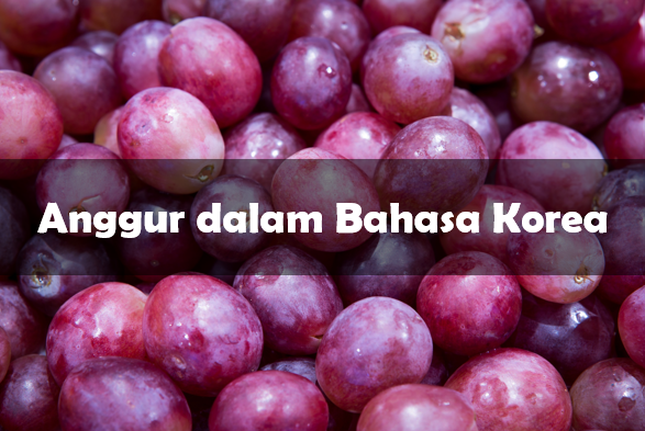 bahasa Korea anggur