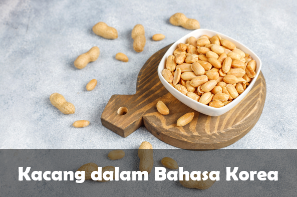 Kacang dalam bahasa Korea