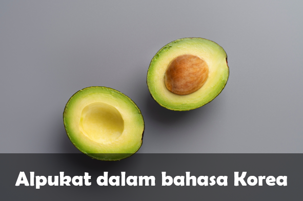 bahasa Korea alpukat
