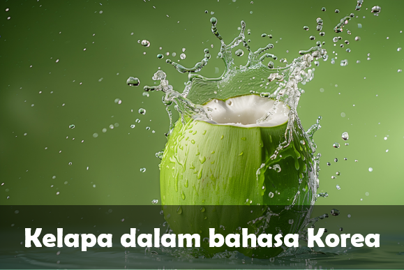 Kelapa dalam bahasa Korea