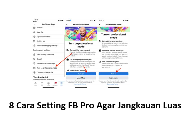 8 Cara Setting FB Pro Agar Jangkauan Luas