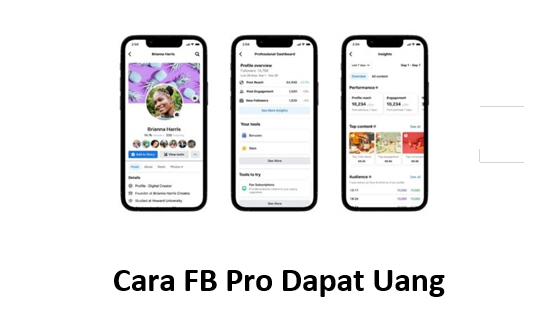 Cara FB Pro Dapat Uang