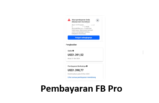 Pembayaran FB Pro