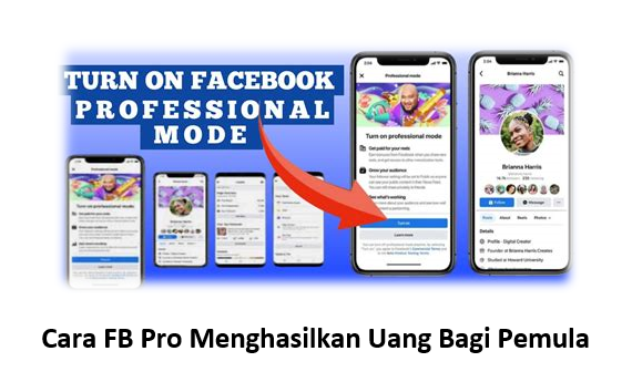 Cara FB Pro Menghasilkan Uang Bagi Pemula